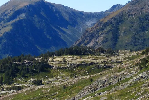 湖州社保中心咨询电话