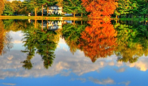 粉象生活官网app下载