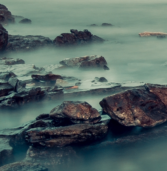 东营粉象生活收入