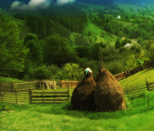 粉象生活怎么做任务