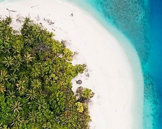 粉象生活官方邀请码哪一个是真的