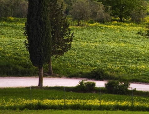 承德生活垃圾焚烧发电厂