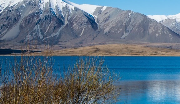 粉象生活怎样招粉丝