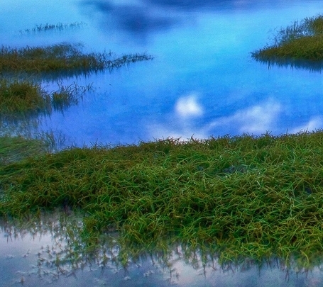 中山粉象生活使用教程