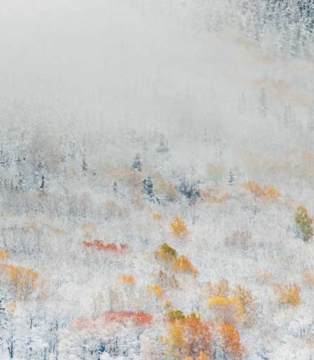 粉象生活骗局?揭密很多人被骗!说说他们的亲身经历!