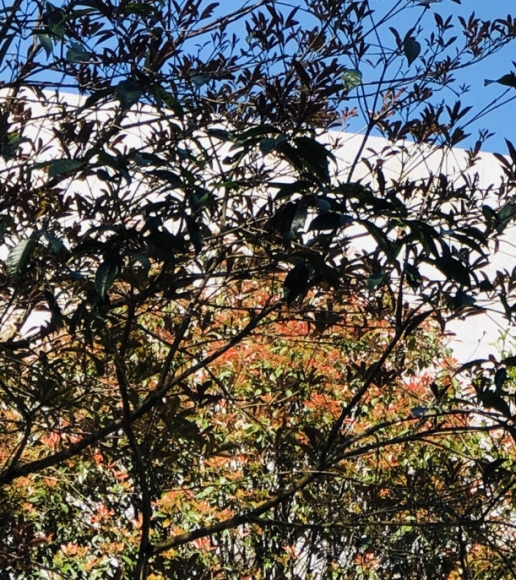 五象一站式生活购物中心