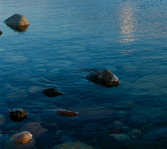 粉象生活可以赚钱吗