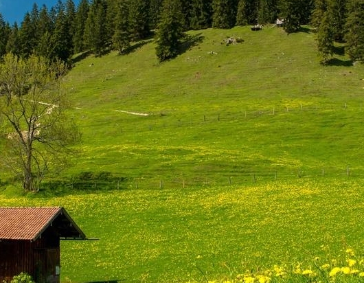 粉象生活怎么推广赚钱