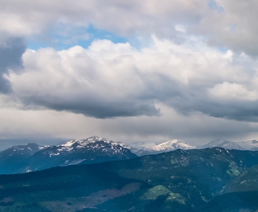 粉象生活真实收入