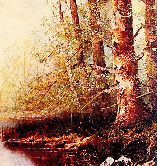 粉象挣钱是真的吗