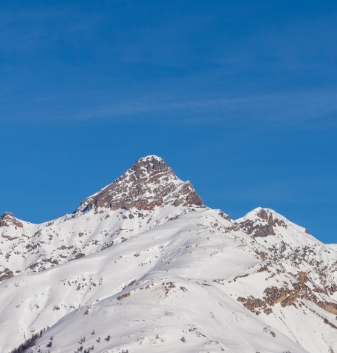 粉象生活里的订单如何删除
