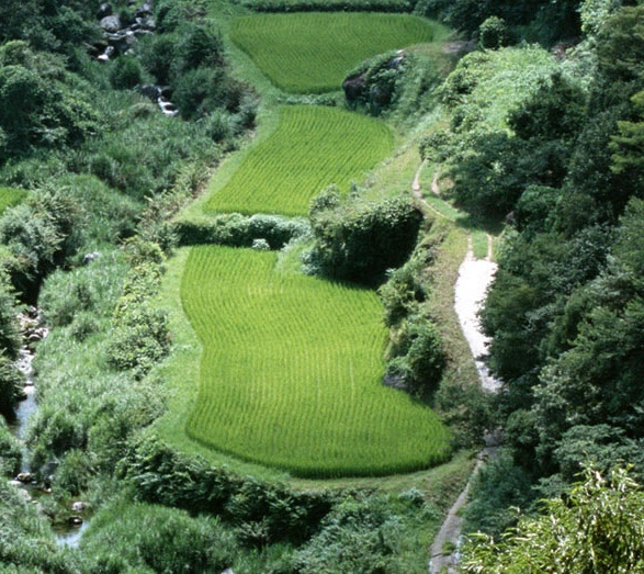 粉象邀请码