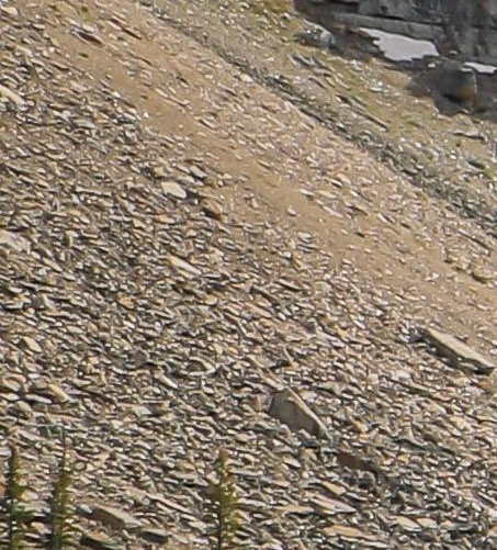 下载粉象生活最新版