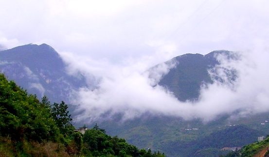 粉象生活升级太难