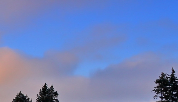 粉象生活的订单怎么查看