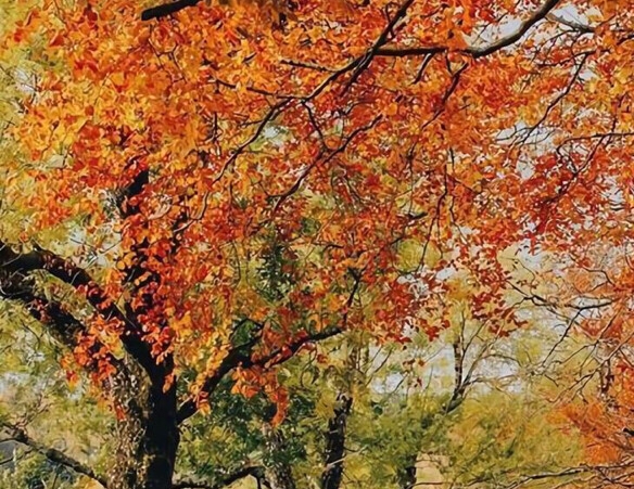 粉象生活下载app