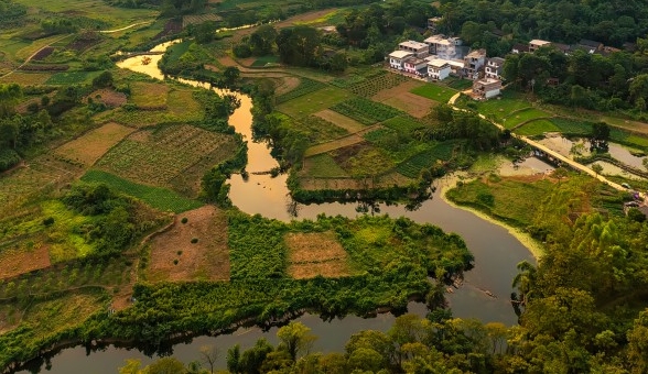 粉象生活怎么赚钱的