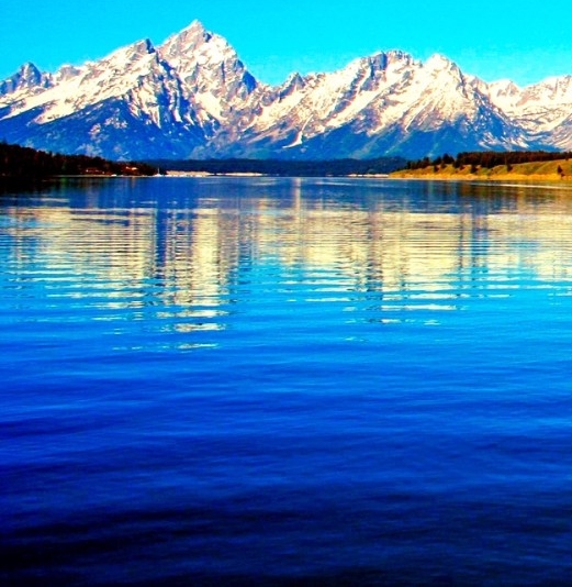 粉象饿了吗订单