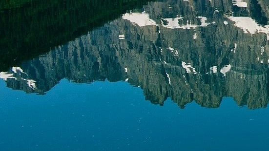 粉象生活是什么