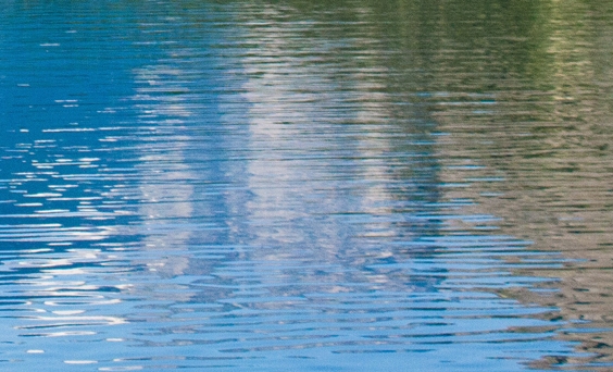 粉象生活怎样解除绑定