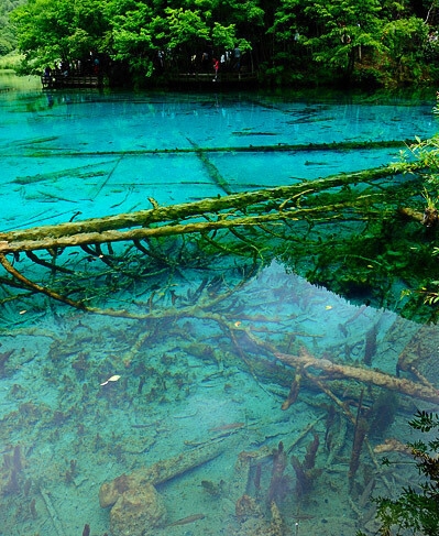 粉象生活分享赚是怎么赚钱的