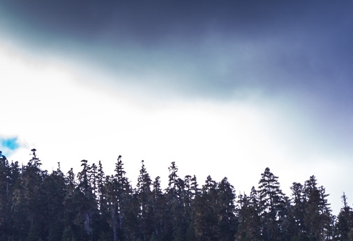 茂名赚生活代理
