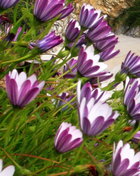 产品放到粉象生活