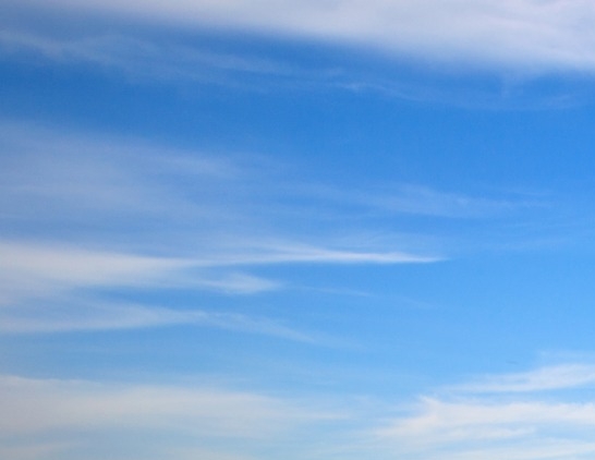 粉象生活升级会员后真的能赚钱吗