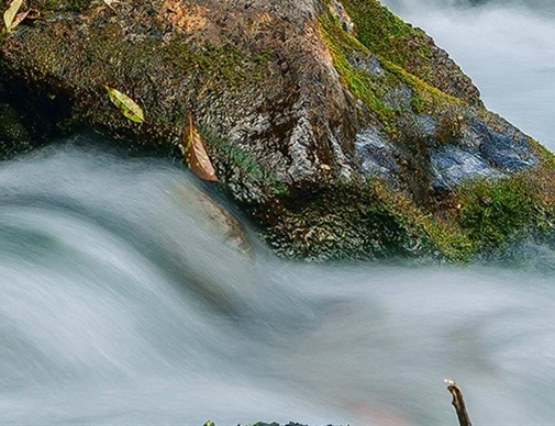 菏泽粉象生活加盟靠谱吗