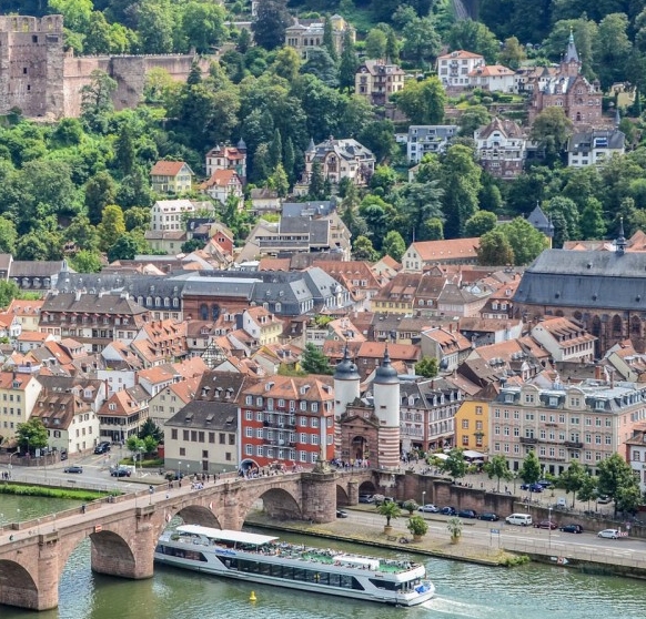 粉象生活哪里找券