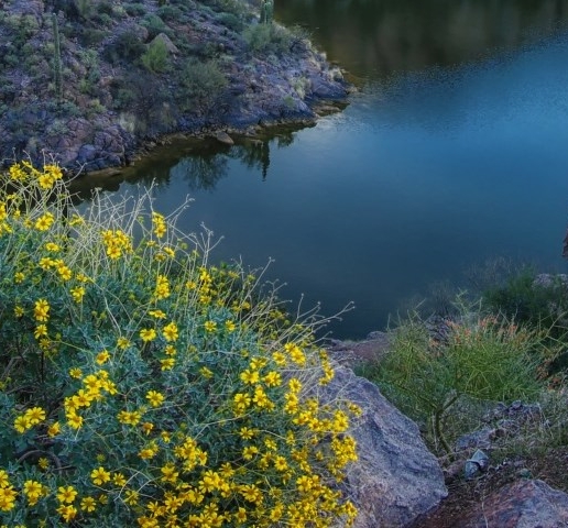 新版粉象生活下载