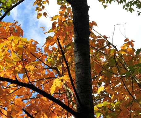 粉象生活有多少用户