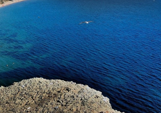 如何启动粉象生活