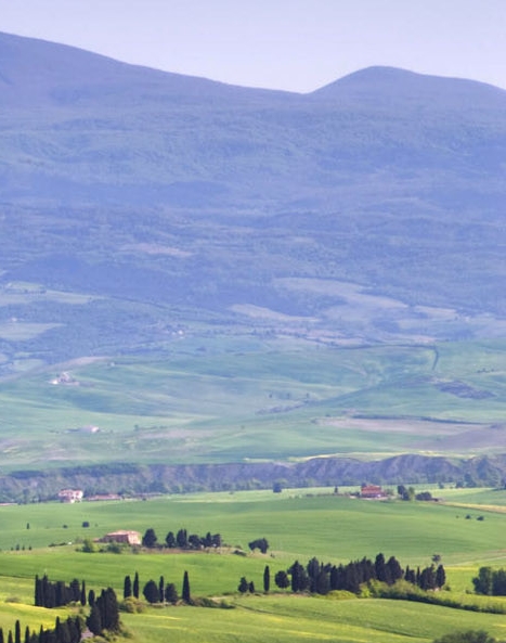 深圳粉象生活怎么样