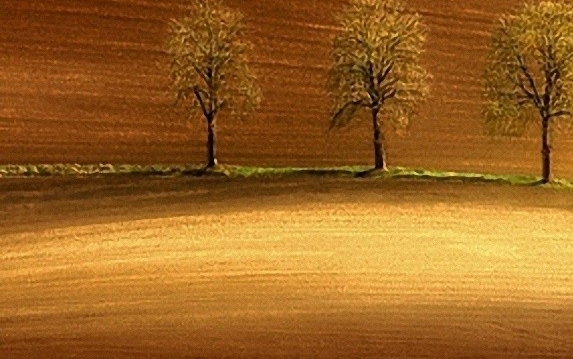 揭阳粉象生活怎么样