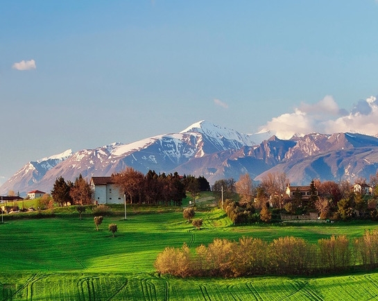 佛山粉象生活如何使用