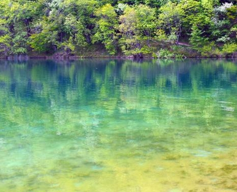 粉象分享赚钱是怎么回事