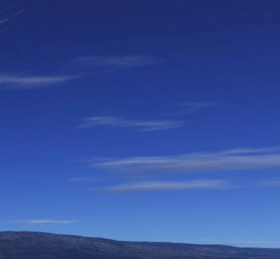 辽宁口碑好的粉象生活官网