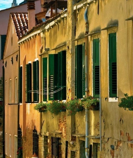 粉象生活赚钱教程