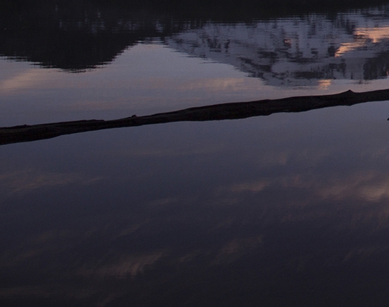 粉象生活佣金规定