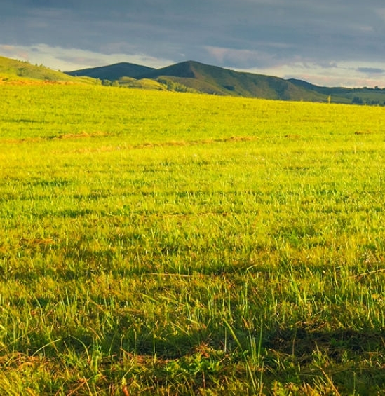 阳江粉象生活积分
