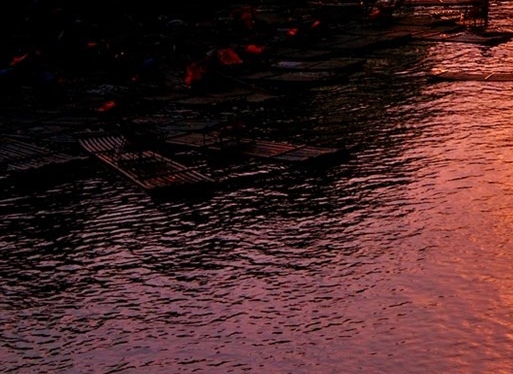 粉象生活李红星