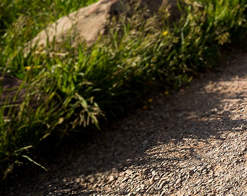 粉象生活创业历程