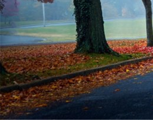 粉象生活怎么赚钱的