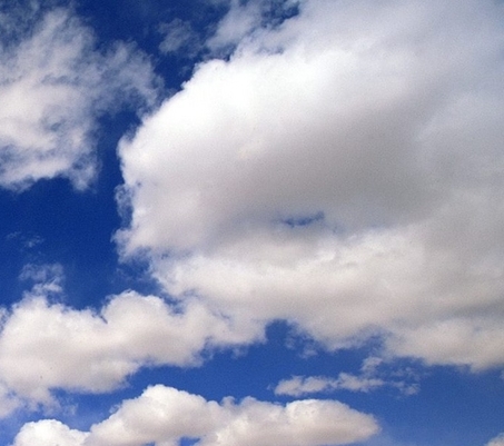 福建新一代辣椒粉