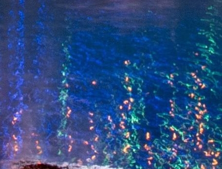 粉象生活退款教程