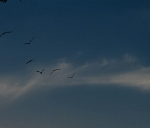 本地生活行业分析