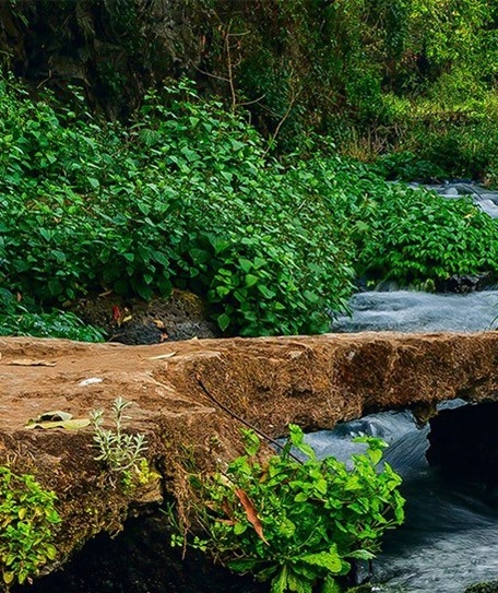 怎么在粉象生活里找优惠券