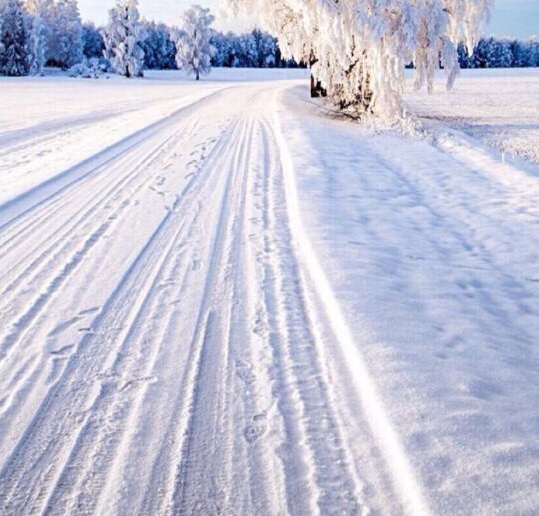 浙江象网科技有限公司