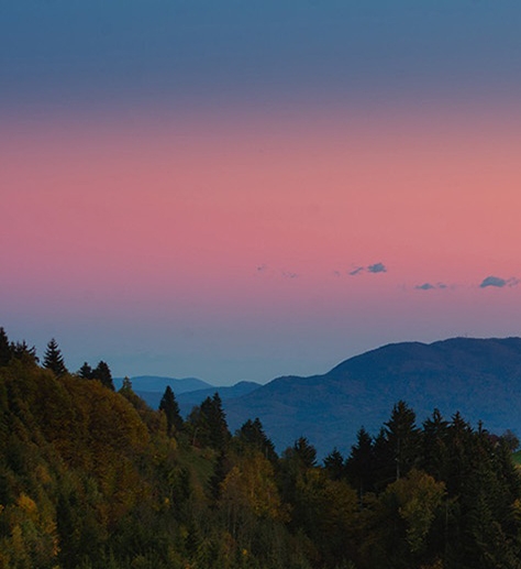 粉象生活邀请码